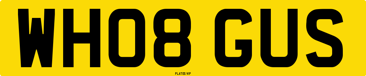 WH08 GUS Number Plate
