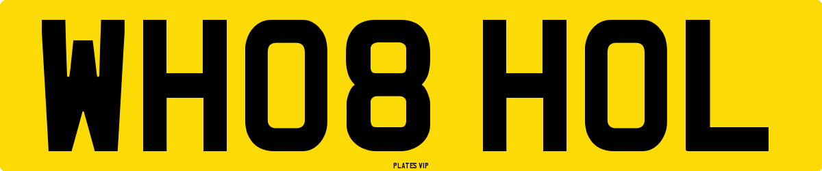 WH08 HOL Number Plate