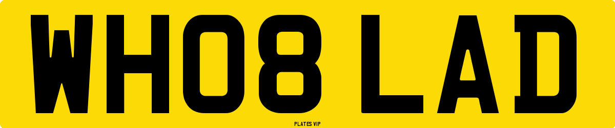 WH08 LAD Number Plate
