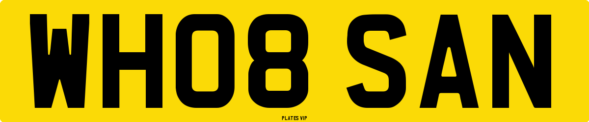 WH08 SAN Number Plate