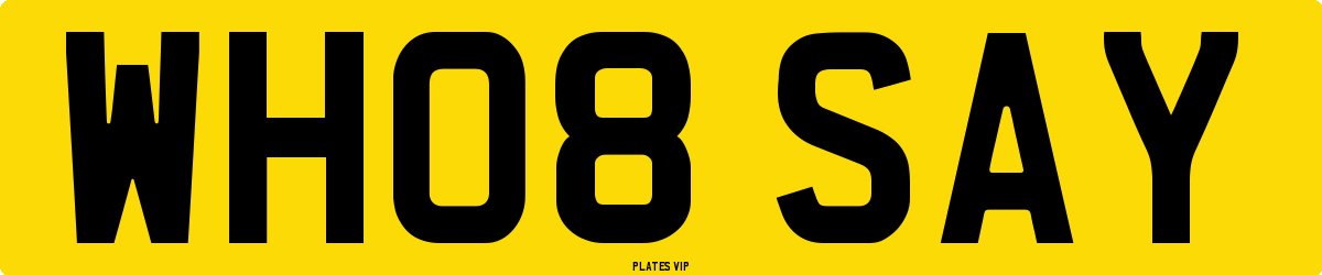 WH08 SAY Number Plate