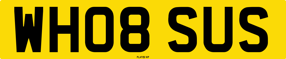 WH08 SUS Number Plate