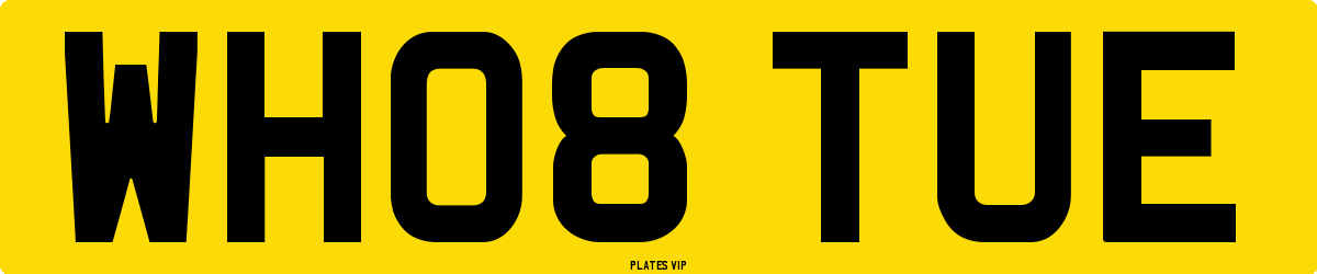 WH08 TUE Number Plate
