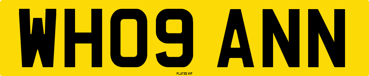 WH09 ANN Number Plate
