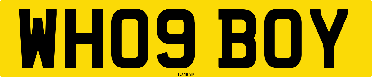WH09 BOY Number Plate