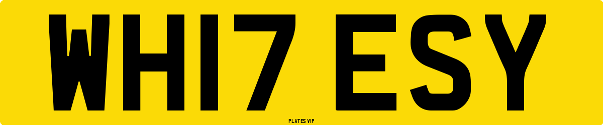 WH17 ESY Number Plate