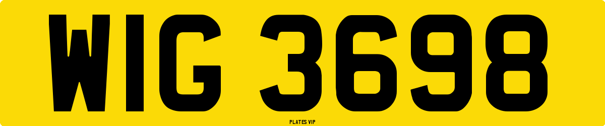 WIG 3698 Number Plate