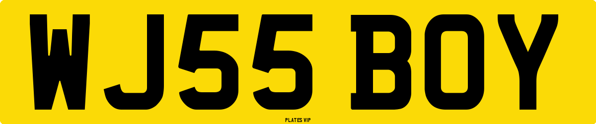 WJ55 BOY Number Plate