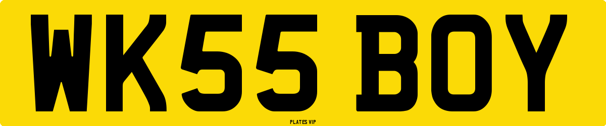 WK55 BOY Number Plate