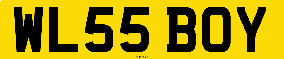 WL55 BOY Number Plate