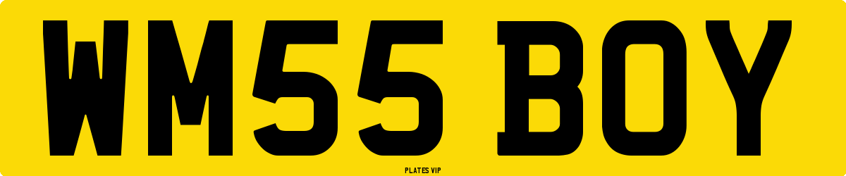 WM55 BOY Number Plate