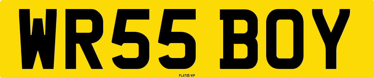 WR55 BOY Number Plate