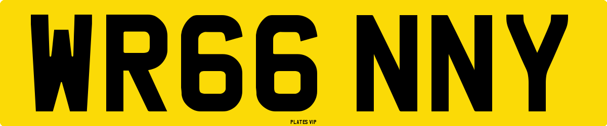 WR66 NNY Number Plate