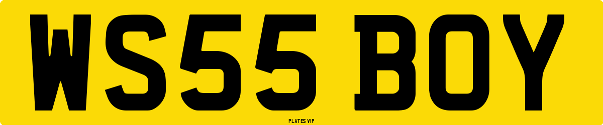 WS55 BOY Number Plate