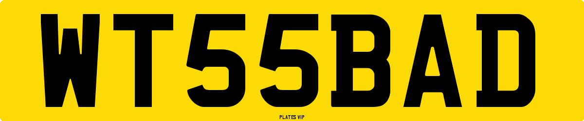 WT 55 BAD Number Plate