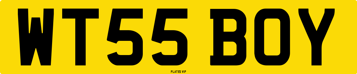 WT55 BOY Number Plate