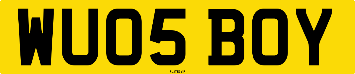 WU05 BOY Number Plate