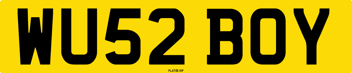 WU52 BOY Number Plate
