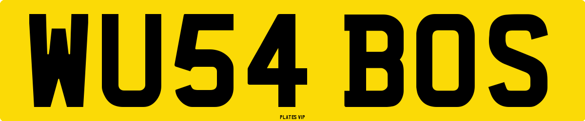 WU54 BOS Number Plate