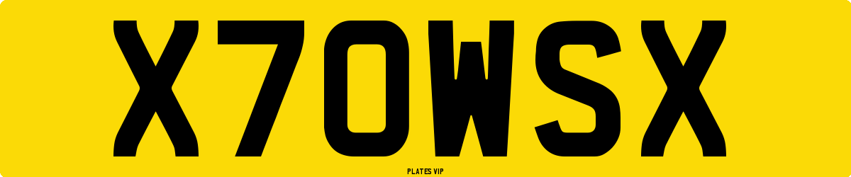 X 70WS X Number Plate