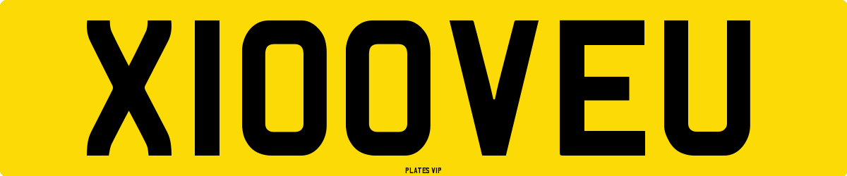 X100VEU Number Plate