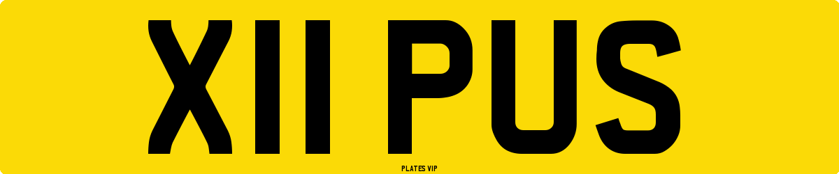 X11 PUS Number Plate