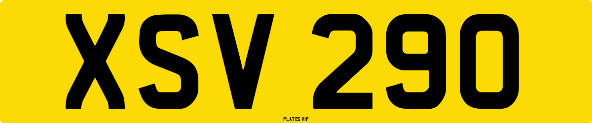XSV 290 Number Plate