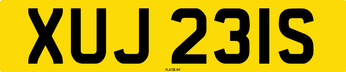XUJ 231S Number Plate