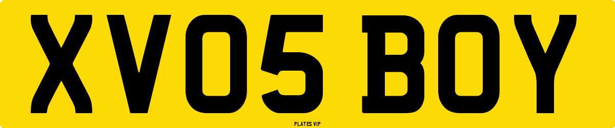 XV05 BOY Number Plate