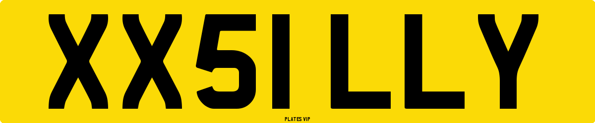 XX51 LLY Number Plate