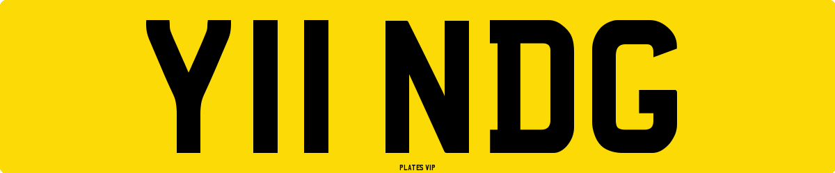 Y11 NDG Number Plate