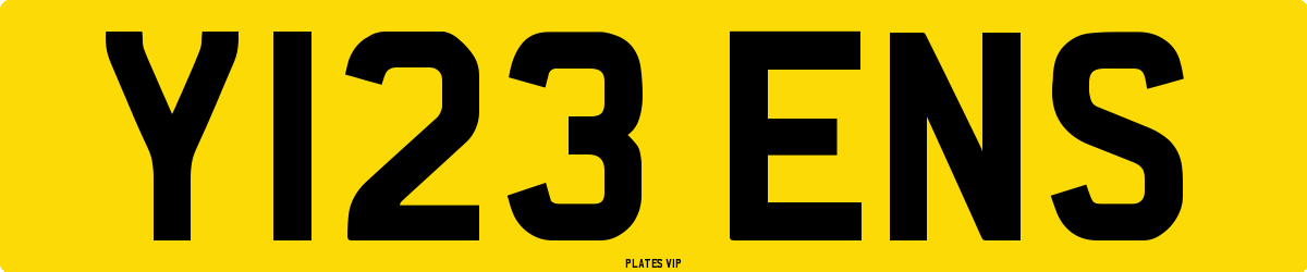 Y123 ENS Number Plate