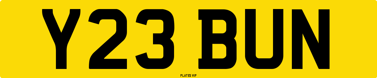 Y23 BUN Number Plate