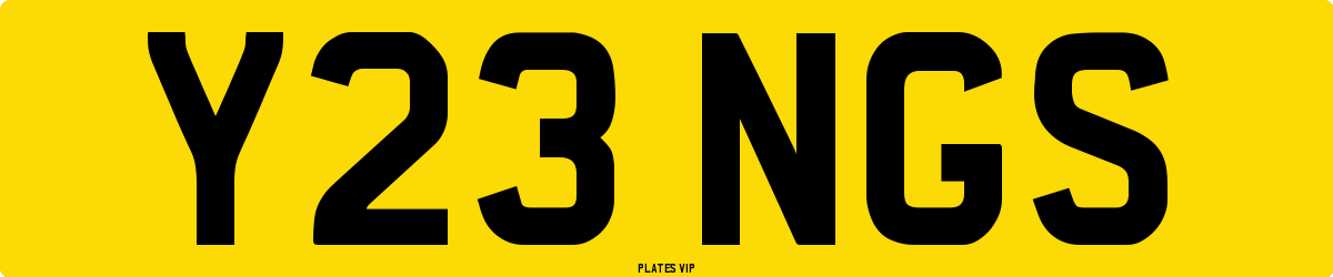 Y23 NGS Number Plate