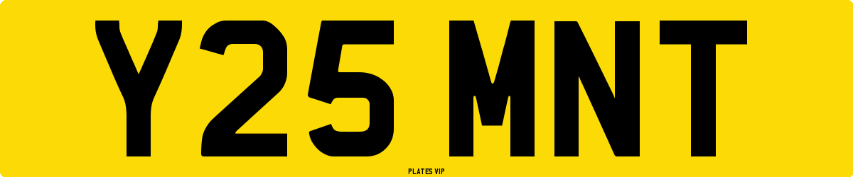 Y25 MNT Number Plate
