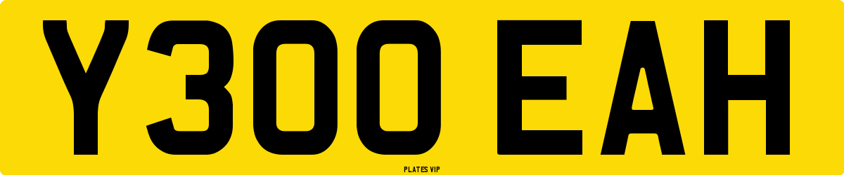 Y300 EAH Number Plate