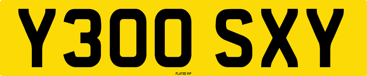 Y300 SXY Number Plate