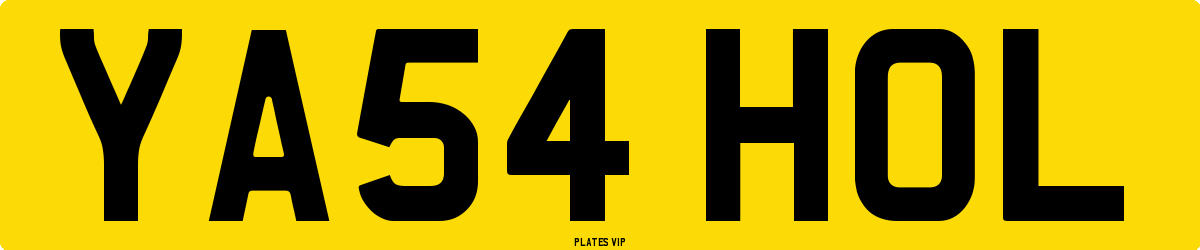YA54 HOL Number Plate