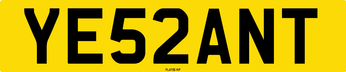 YE5 2 ANT Number Plate