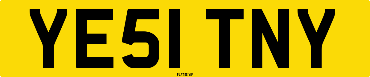 YE51 TNY Number Plate