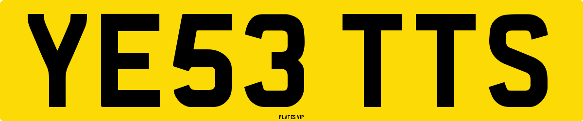 YE53 TTS Number Plate