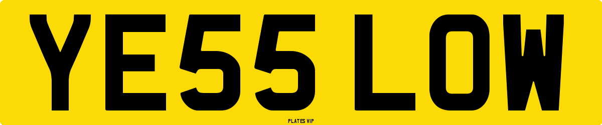 YE55 LOW Number Plate