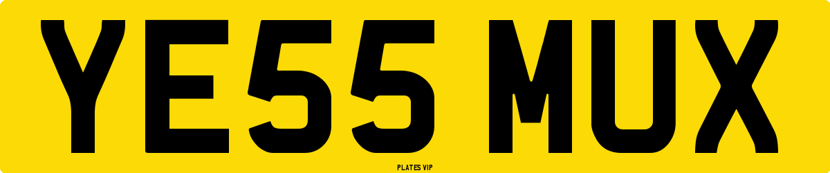 YE55 MUX Number Plate