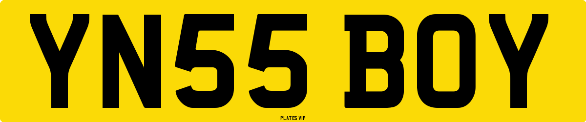 YN55 BOY Number Plate