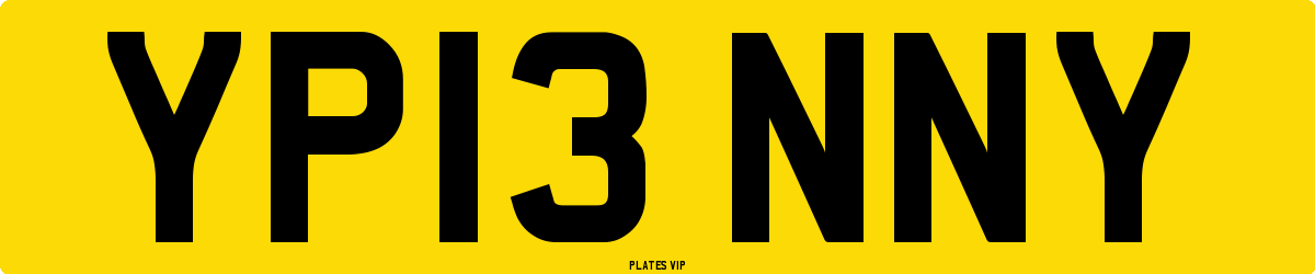 YP13 NNY Number Plate