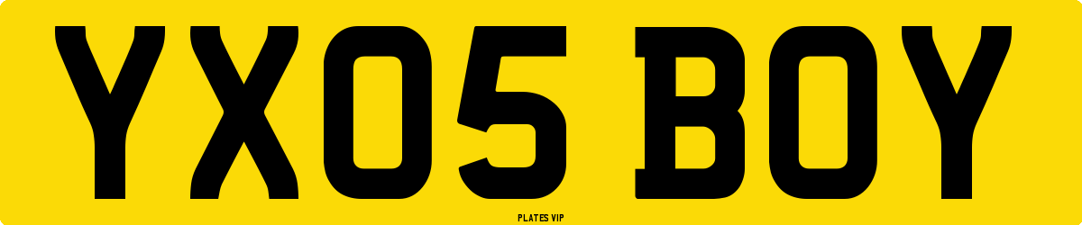 YX05 BOY Number Plate